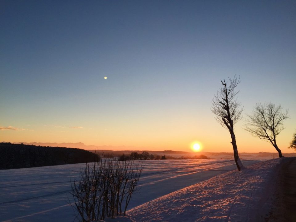 Article : L&rsquo;&eacute;change Brigitte Sauzay, pour vivre 3 mois dans une famille allemande