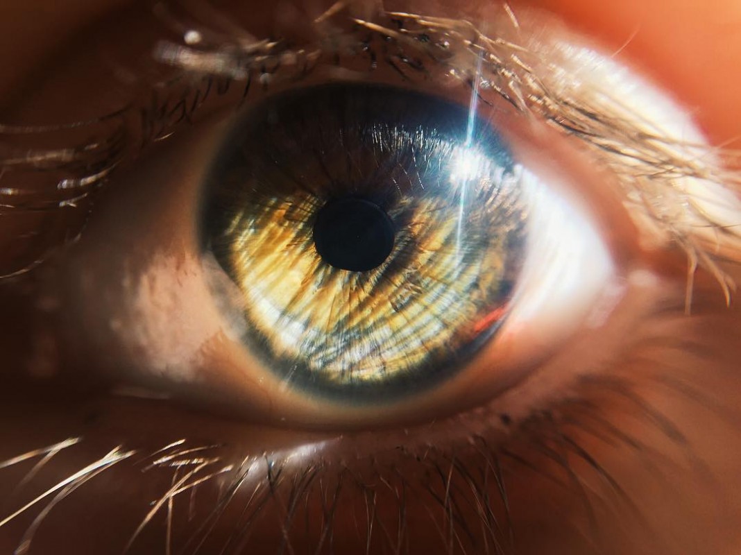 Article : Mai 2016, autres publications